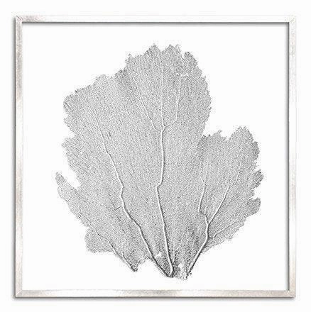 Square Coastal Sea Fan Nautical Beach Framed Wall Art - 37 x 37 - Available in 19 Colors