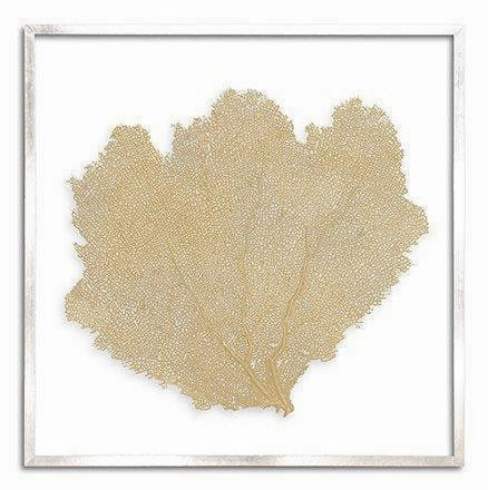Square Coastal Sea Fan Nautical Beach Framed Wall Art - 37 x 37 - Available in 19 Colors