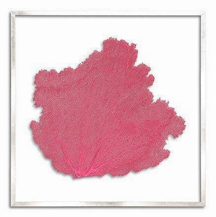 Square Coastal Sea Fan Nautical Beach Framed Wall Art - 37 x 37 - Available in 19 Colors