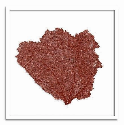 Square Coastal Sea Fan Nautical Beach Framed Wall Art - 37 x 37 - Available in 19 Colors