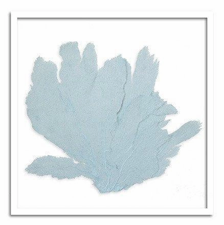 Square Coastal Sea Fan Nautical Beach Framed Wall Art - 37 x 37 - Available in 19 Colors