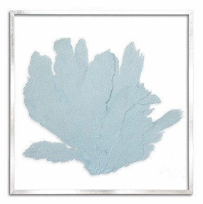 Square Coastal Sea Fan Nautical Beach Framed Wall Art - 37 x 37 - Available in 19 Colors 