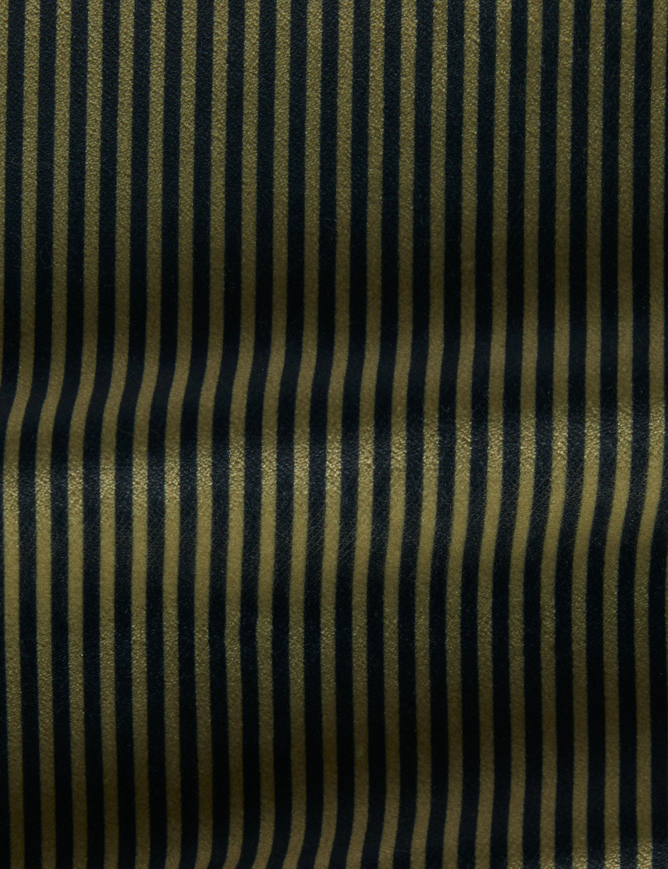 Striped Velvet Fabric by Sarah Sherman Samuel