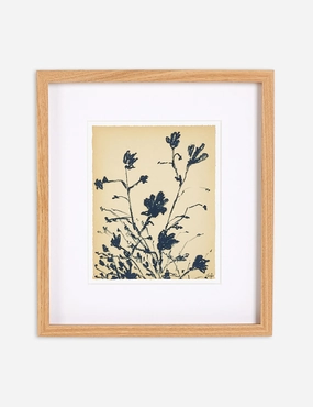 Summer Weed Wall Art by Shaina Page 
