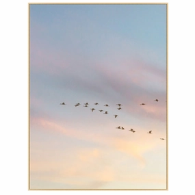Sunset Flock 1 Framed Wall Art 