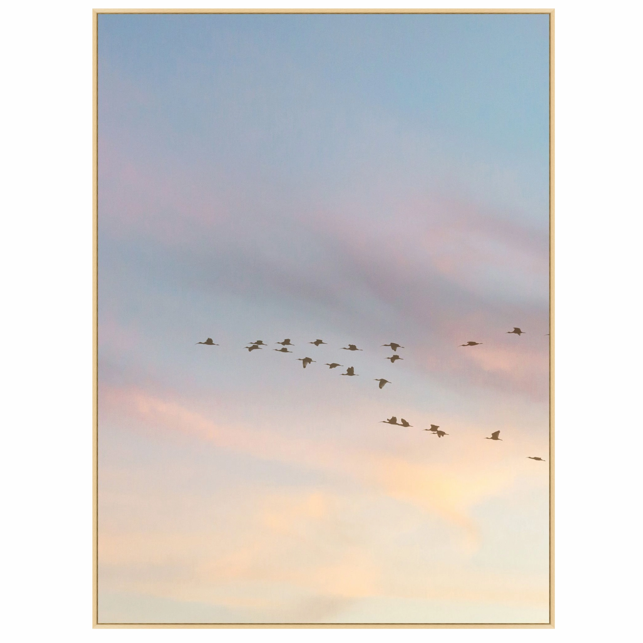 Sunset Flock 1 Framed Wall Art 