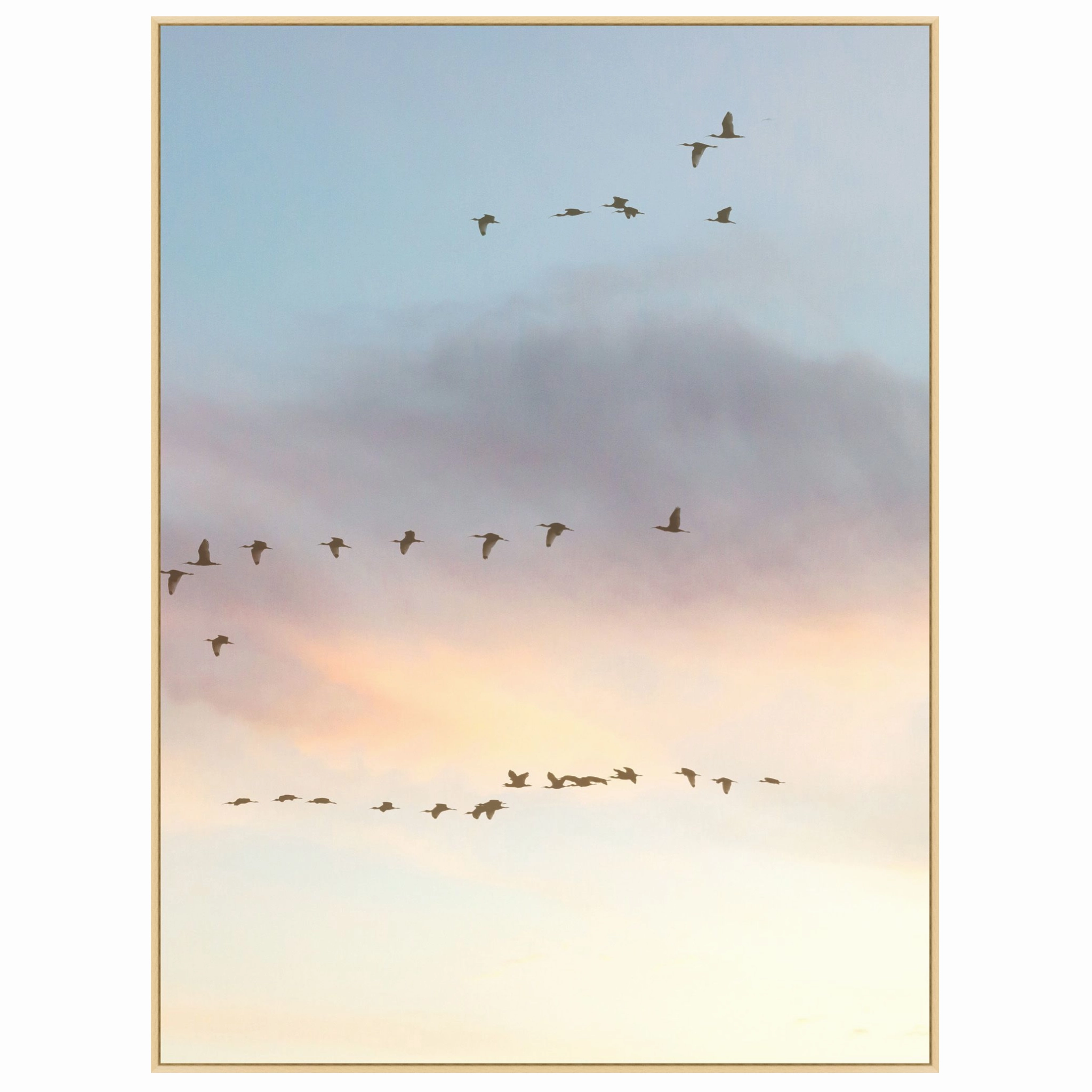 Sunset Flock 2 Framed Wall Art 