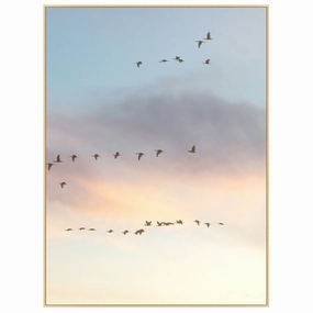 Sunset Flock 2 Framed Wall Art 