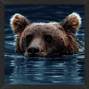 Swimming Brown Bear Framed Wall Art 