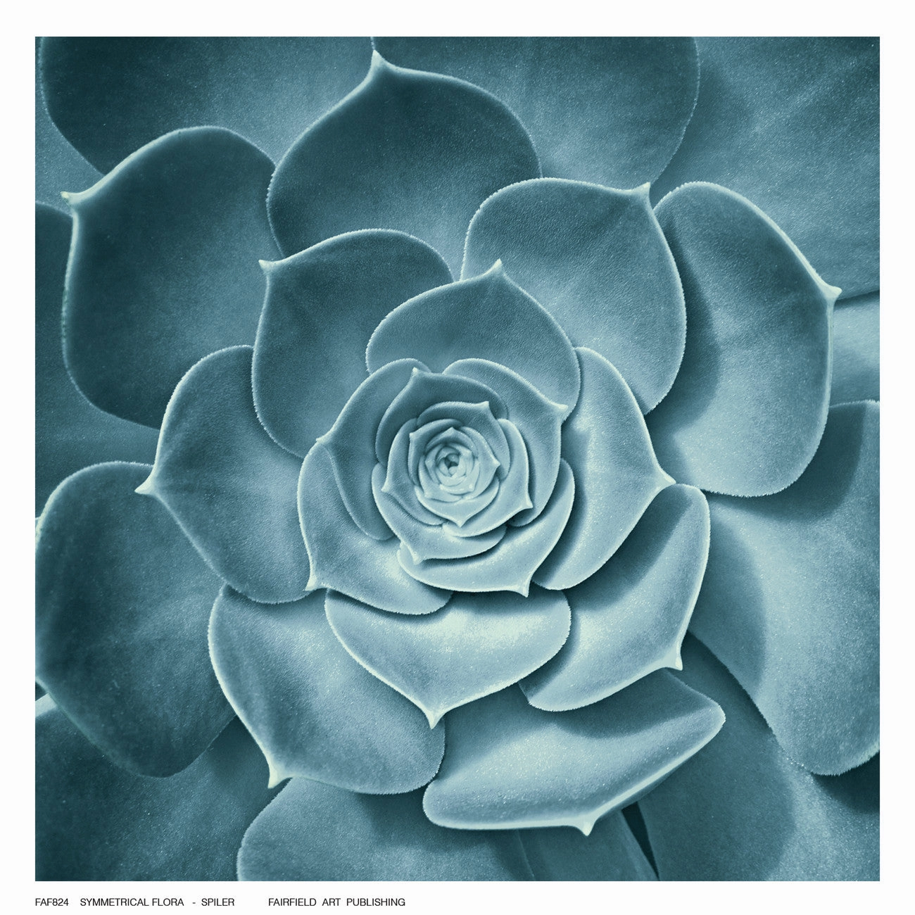 Symmetrical Flora 