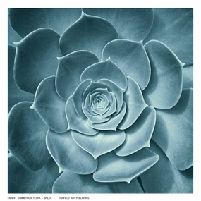 Symmetrical Flora 
