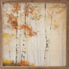 Three Fall Birch Trees In The Forest Wood Framed Print 