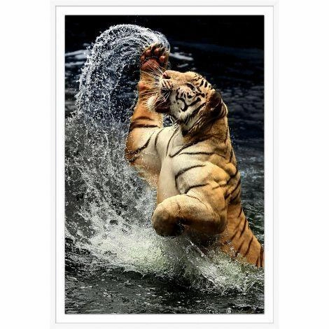 Tiger Jump 2 Wall Art in Shadowbox Frame 