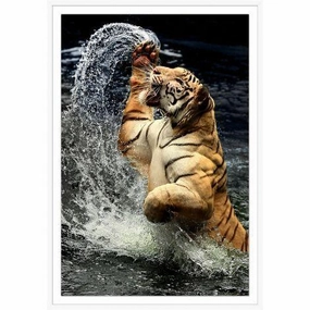 Tiger Jump 2 Wall Art in Shadowbox Frame 