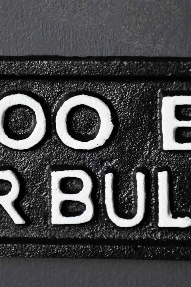 Too Busy For Bullshit Sign