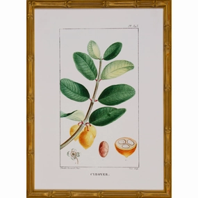 Tropical Botanical V Artwork in Gold Frame 
