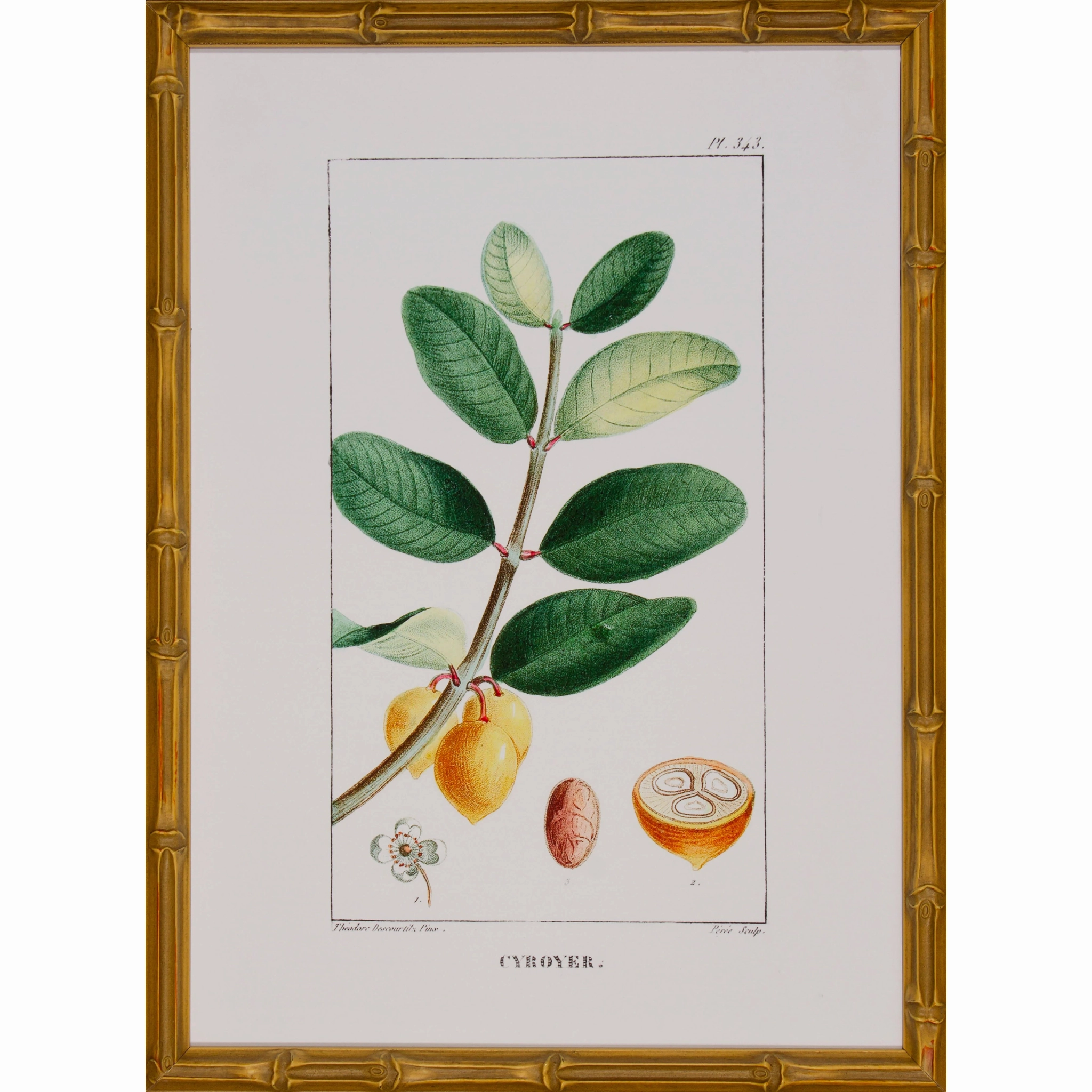 Tropical Botanical V Artwork in Gold Frame 