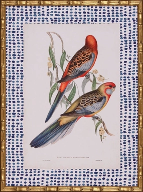 Tropical Parrots II Wall Art With Blue Spotted Matte in Gold Frame 