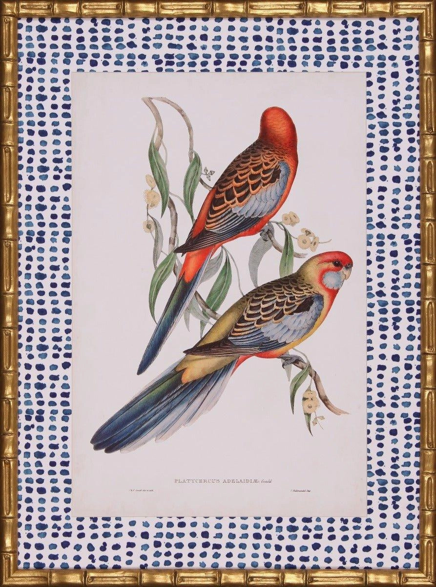Tropical Parrots II Wall Art With Blue Spotted Matte in Gold Frame 