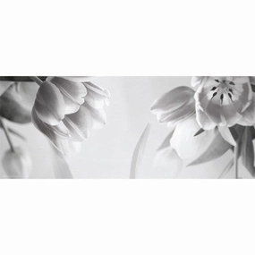 Tulip Fantasy II 