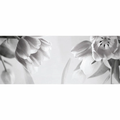 Tulip Fantasy II 