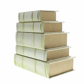 Vellum Book Box - Extra Small 