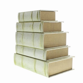 Vellum Book Box - Large 