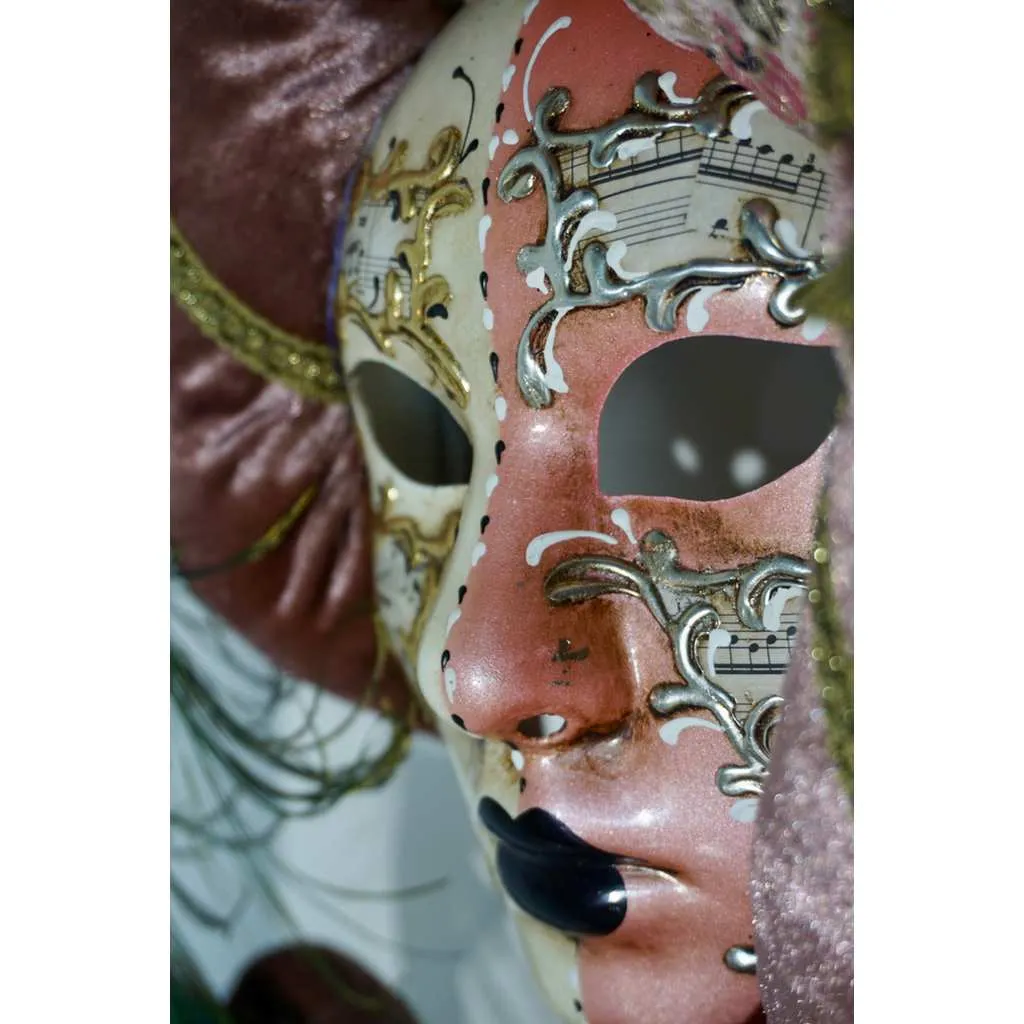 Venetian Handmade Pink Rose Fabric Headwrap Mask with Handle and Feathers