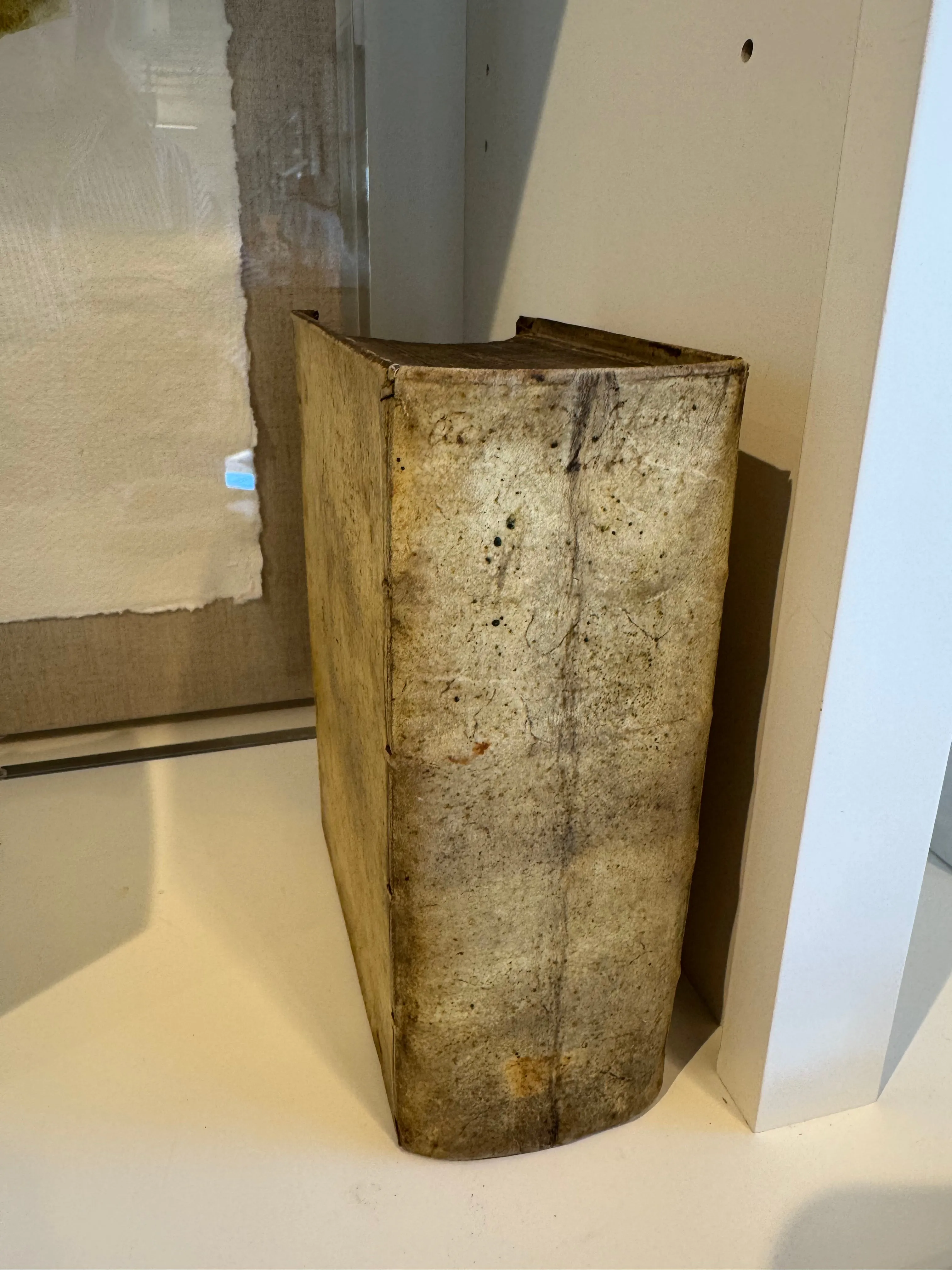 Vintage Vellum Books