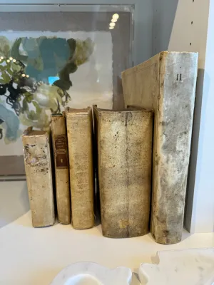 Vintage Vellum Books 