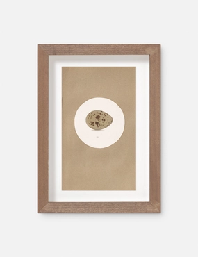 Vintage Bird Watercolor No. 185 Wall Art by Visual Contrast 