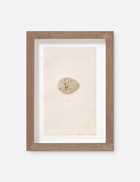 Vintage Bird Watercolor No. 305 Wall Art by Visual Contrast 