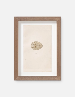 Vintage Bird Watercolor No. 305 Wall Art by Visual Contrast 