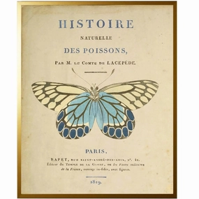 Vintage Blue Butterfly Framed Wall Art 