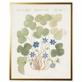 Vintage Bookplate with Blue Anemone Framed Wall Art 