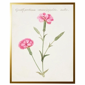 Vintage Bookplate with Carnations Framed Wall Art 