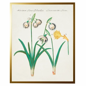 Vintage Bookplate With Flowers Framed Wall Art 