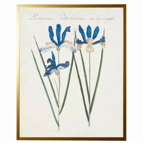 Vintage Bookplate with Iris Framed Wall Art 