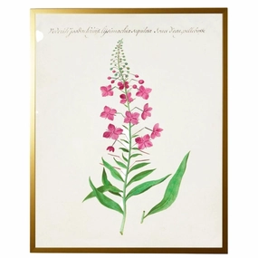 Vintage Bookplate with Pink Flowers Framed Wall Art 