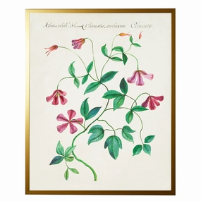 Vintage Bookplate With Pink Flowers Framed Wall Art 