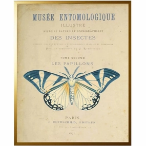 Vintage Butterfly Framed Wall Art 