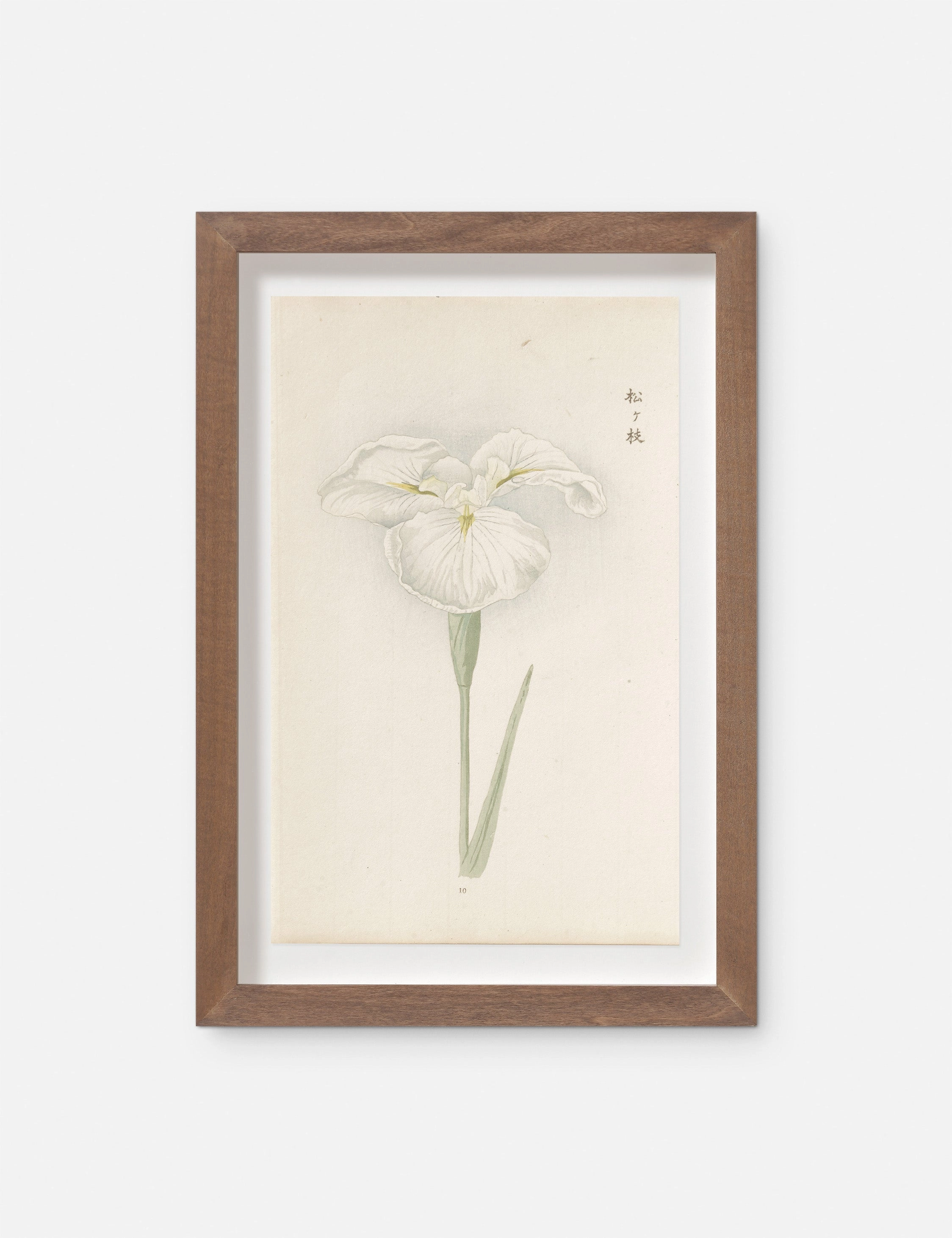 Vintage Japanese Iris No. 10 Wall Art by Miyoshi Manabu 
