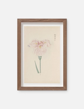 Vintage Japanese Iris No. 17 Wall Art by Miyoshi Manabu 