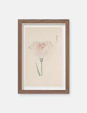 Vintage Japanese Iris No. 17 Wall Art by Miyoshi Manabu 