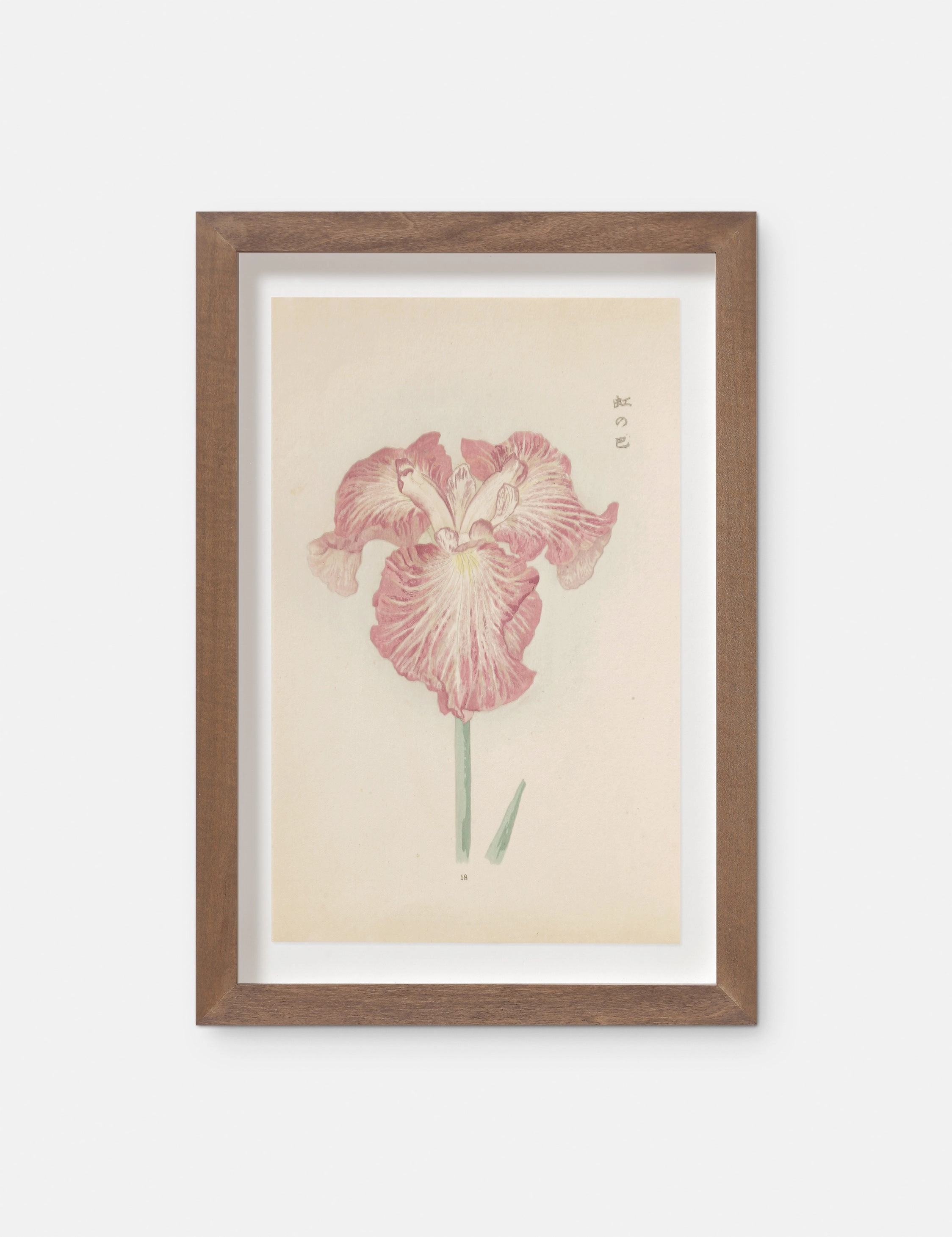 Vintage Japanese Iris No. 18 Wall Art by Miyoshi Manabu 