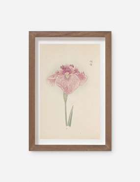 Vintage Japanese Iris No. 19 Wall Art by Miyoshi Manabu 