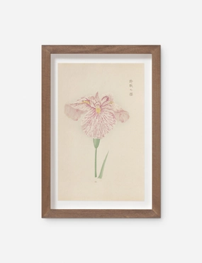 Vintage Japanese Iris No. 20 Wall Art by Miyoshi Manabu 