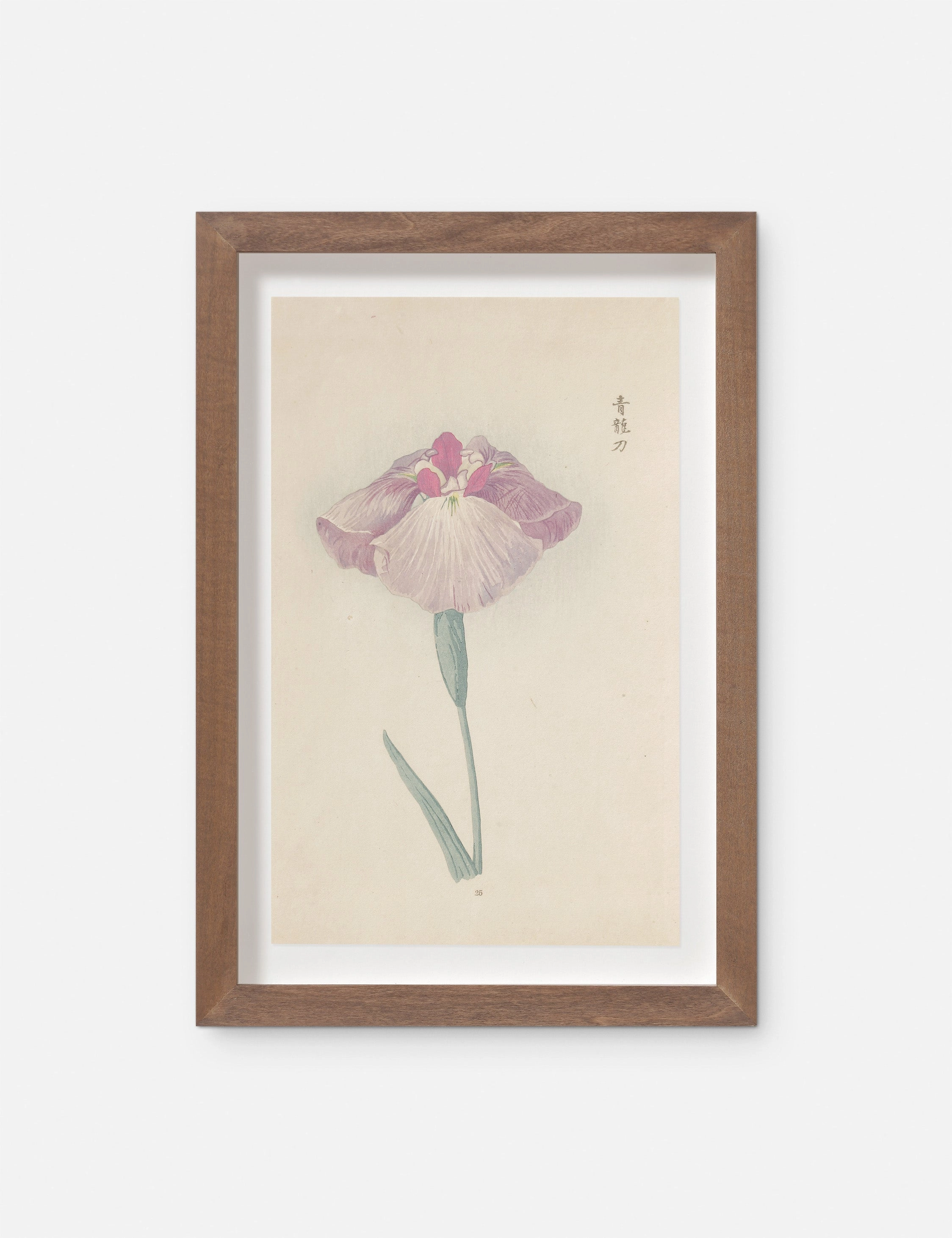 Vintage Japanese Iris No. 25 Wall Art by Miyoshi Manabu 