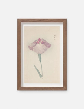 Vintage Japanese Iris No. 25 Wall Art by Miyoshi Manabu 