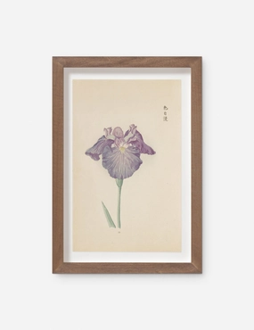 Vintage Japanese Iris No. 29 Wall Art by Miyoshi Manabu 